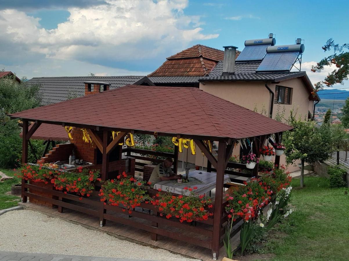 Casa Alex Hotel Topliţa Екстериор снимка