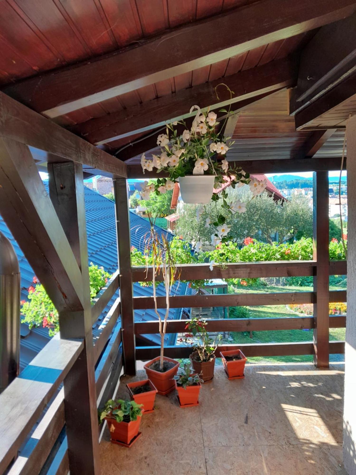 Casa Alex Hotel Topliţa Екстериор снимка