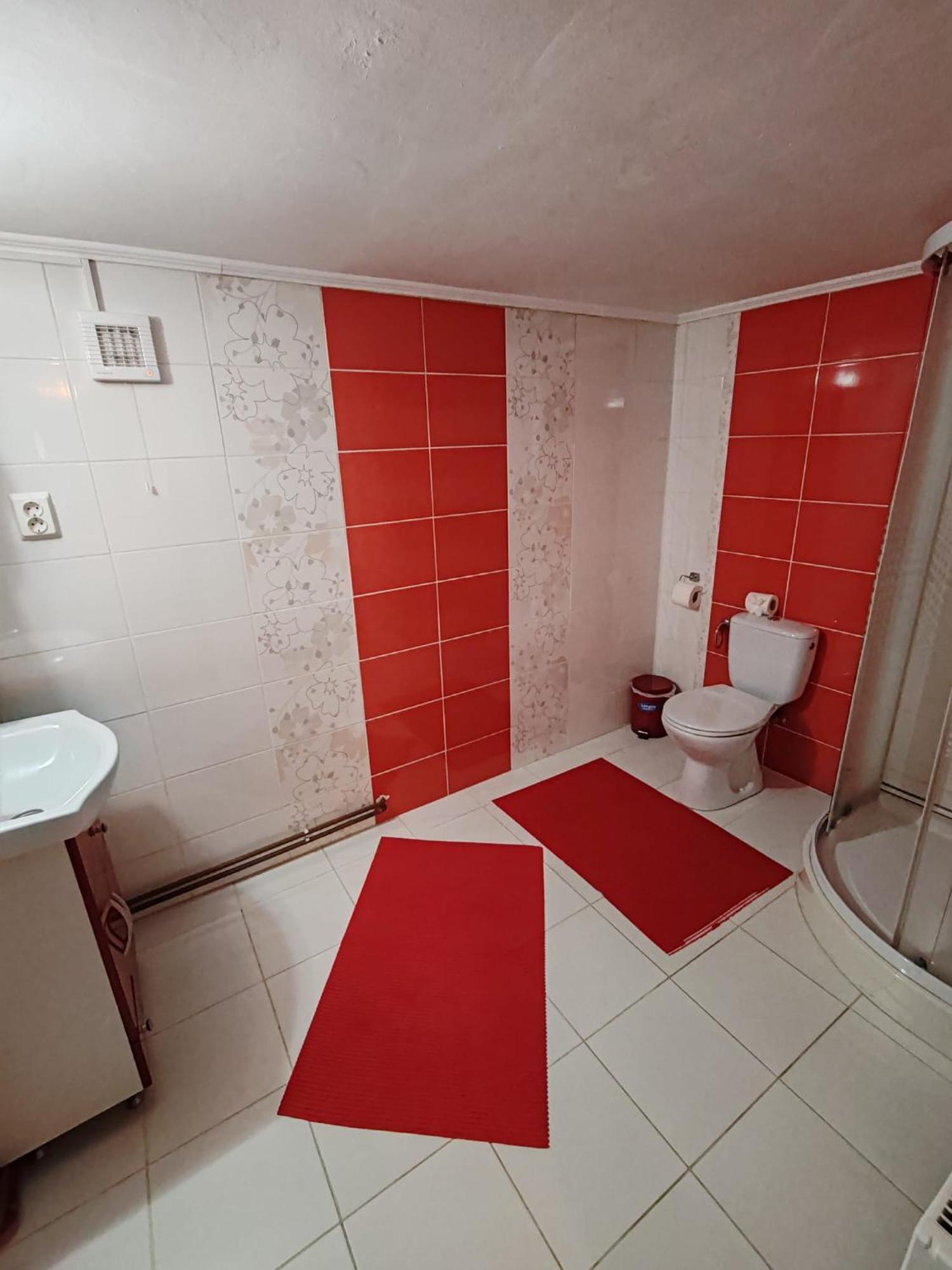 Casa Alex Hotel Topliţa Екстериор снимка